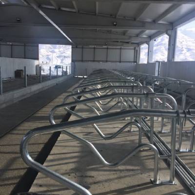 120 Baş Süt Üretim Çiftliği / Malatya - Yaygın